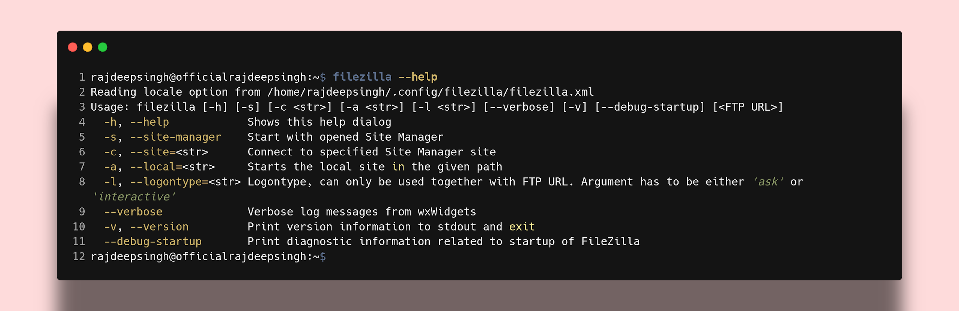 Filezilla help command output