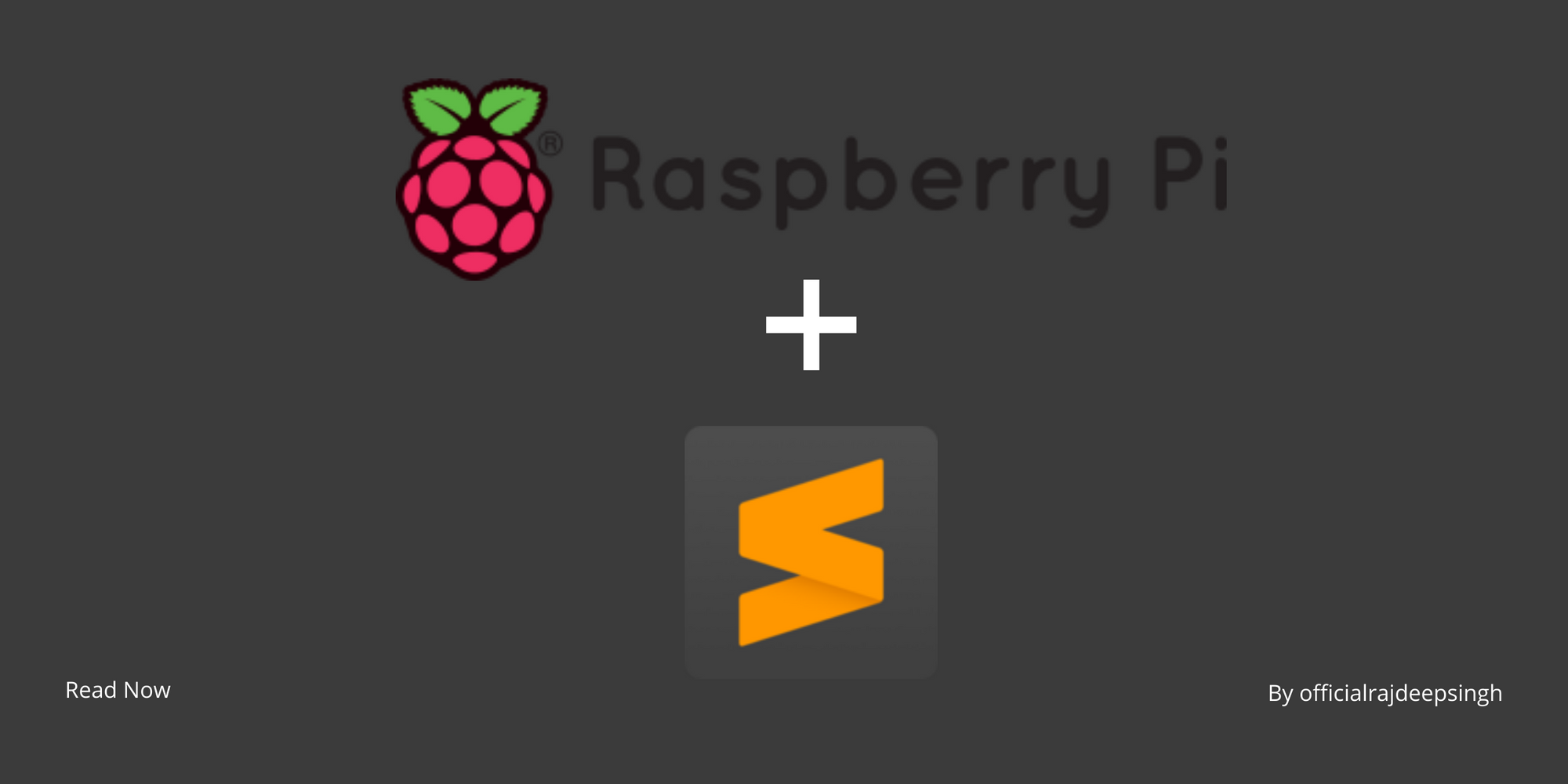 How to install sublime text IDE in Raspberry pi 4?