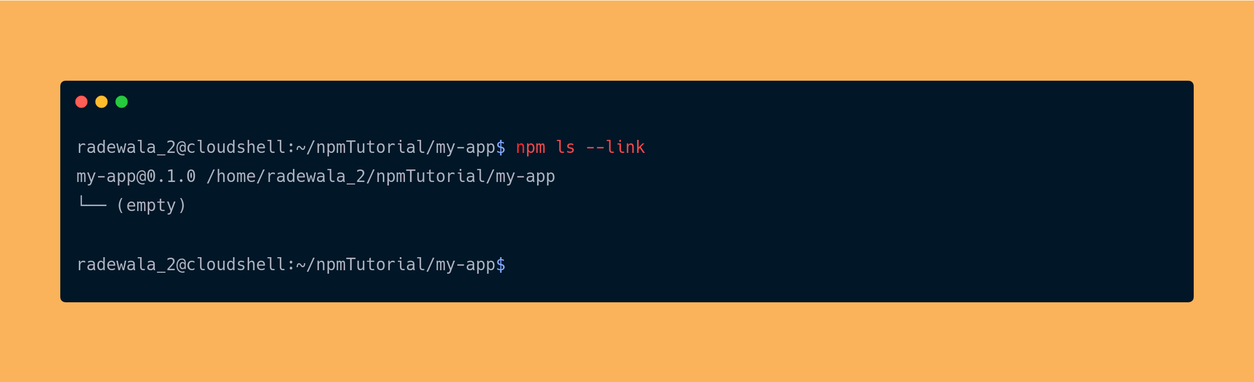 output the npm ls --link