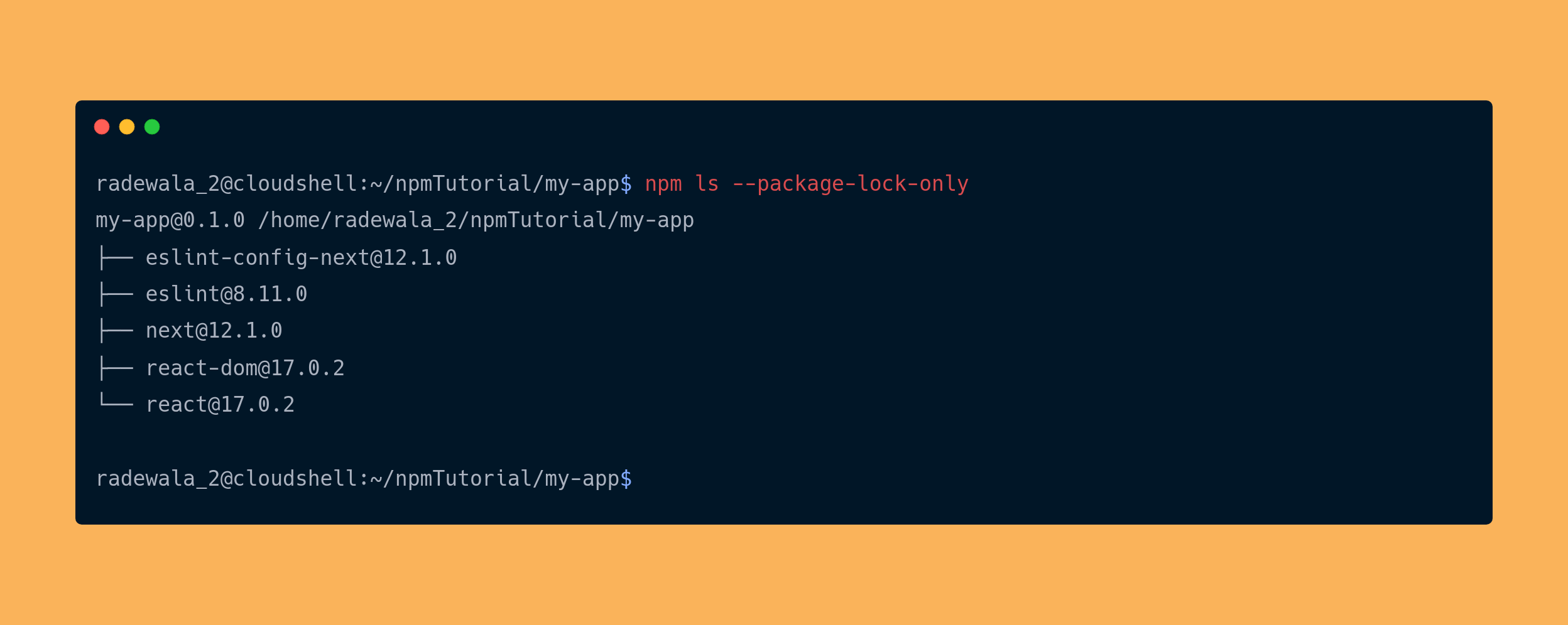 output the npm ls --package-lock-only