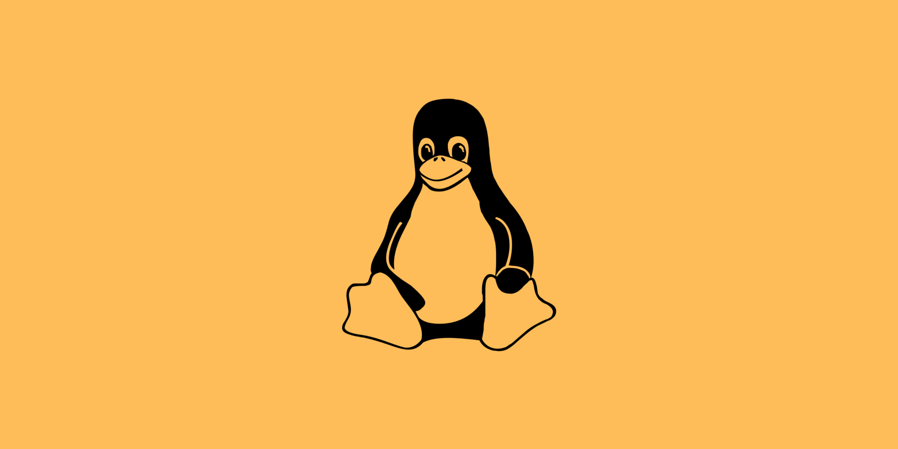what is man command in linux?